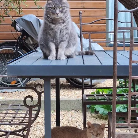Le Jardin De Mimi *
